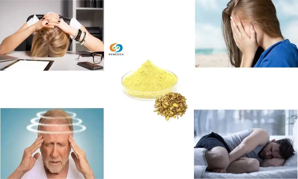 What does skullcap do for the body?